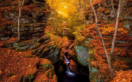 Golden autumn rays - season, branches, rays, autumn, cascades, trees, stream, brook, foliage, creek, glow, fall, forest, beautiful, golden