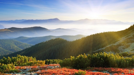 Horizon - horizon, landscape, nature, sky