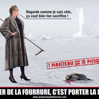 Protection of animals with fur