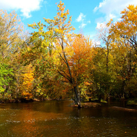 Autumn colors