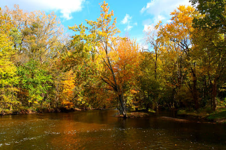 Autumn colors - nature, autumn