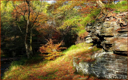 fall in the mountains - nature, autumn, fall, trees, colors, mountains, rocks