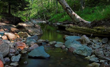 Colored stones in the stream - river, nature, scenery, landscape, stream, forest, stones