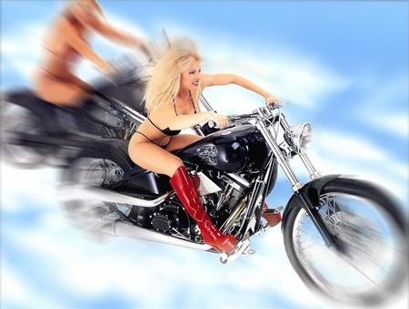 Girls night out  - motorcycles, harley davidson, bikes, choppers