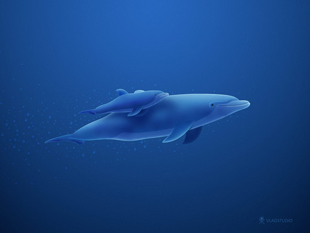 Dolphins by vladstudio - dolphins by vladstudio, for you