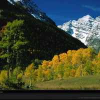 mountain and trees