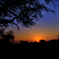 Sunset in the Kruger