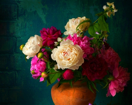 Still Life - flowers, pot, still life, bloom