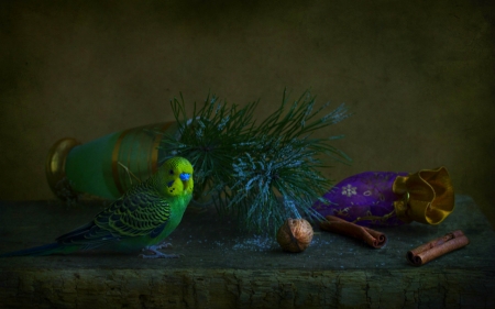 Still Life - table, jar, still life, bird