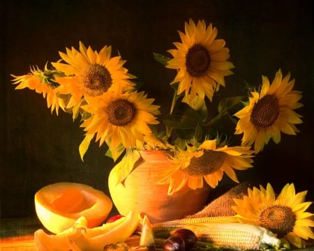 Beautiful Flowers - bloom, flowers, sunflowers, yellow