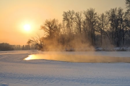 Sunset - winter, trees, sunset, nature, snow