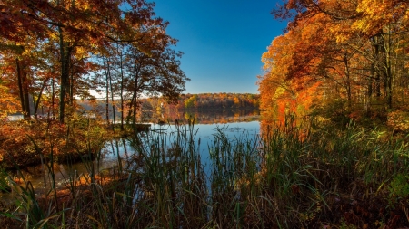 Autumn River - fall, colors, trees, season