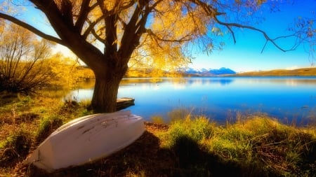 Abandoned boat on autumn lakeshore - calm, branches, beautiful, boat, colors, willow, reflection, abandoned, tree, lakeshore, fall, tranquility, autumn, serenity, lake, golden