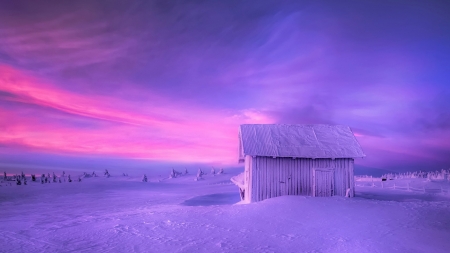 Purple Snow - trees, winter, sunset, lavender, purple, snow, sunrise, hut