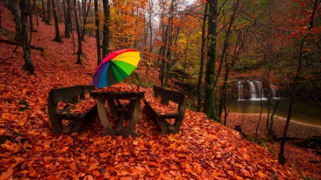 Red Carpet - nature, trees, woods, picnic, umbrella, leaves, picnic bench, waterfalls