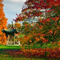 Autumn In Wisley Gardens