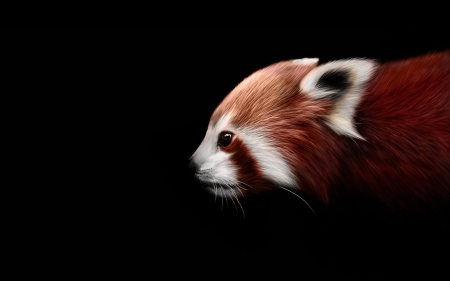 Red panda - black, animal, red, digital, panda, art, luminos