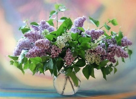 FLOWERS - leaves, stems, petals, vase