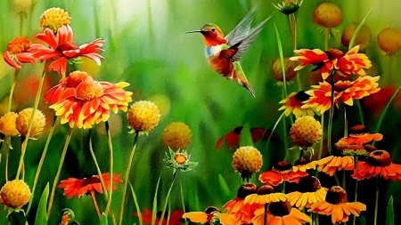 HUMMINGBIRD - flowers, wings, petals, colors