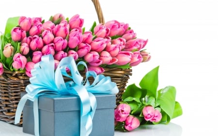 TULIPS - gift, leaves, basket, petals