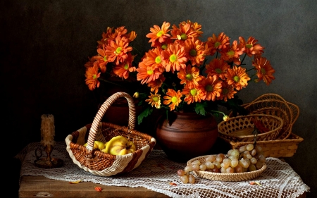 DAISIES - FRUIT, VASE, COLORS, PETALS