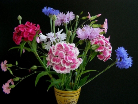 FLOWERS - leaves, stems, petals, vase