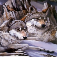 Wolves