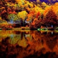 Autumn Reflection