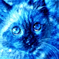 Blue Kitty â™¥