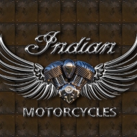 Indian Motor wings 2