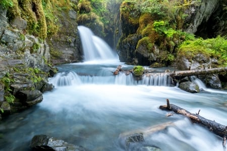 Waterfalls - moss, nature, Waterfalls, tree