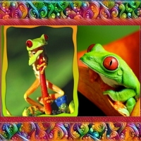 TWO GREEN FROGS