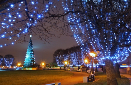 Christmas in Town - place, trees, houses, lights