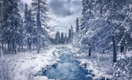 Winter in Quebec, Canada - clouds, creek, snow, firs, sky