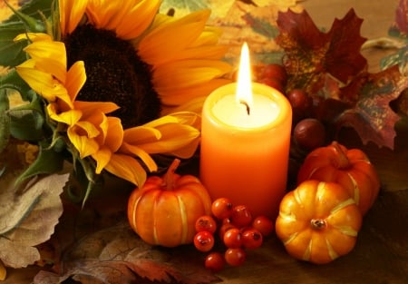 Autumn Still Life - Autumn, pumpkins, Fall, candle, gourds, flame, leaves, berries, sunflower