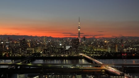 Tokyo Skytree - japan, cityscape, night, tokyo, tower, scenery, skytree, japanese, twilight