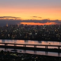 Twilight in Tokyo