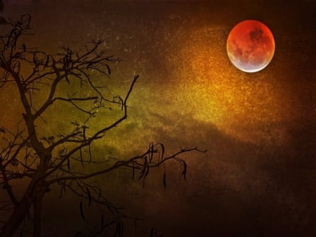 Red Moon