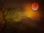 Red Moon