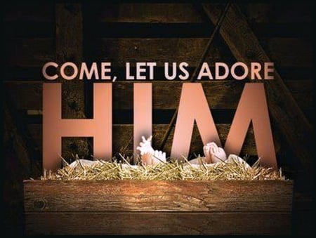 Let us adore him - jesus, cradle, baby, christmas