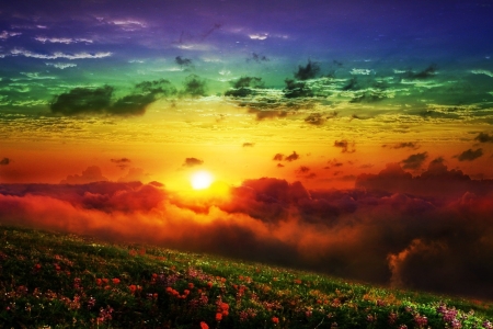 Sunset - sunset, nature, cloud, field, sun, sky