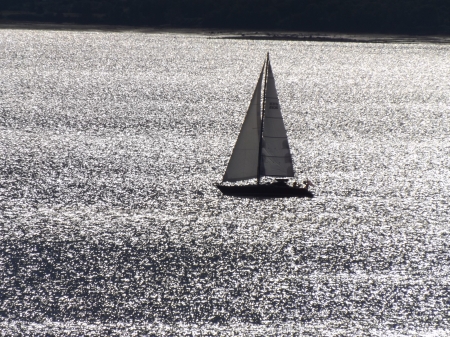 sailboat caught in sunshine - nature, sailboat morning, water, sunshine