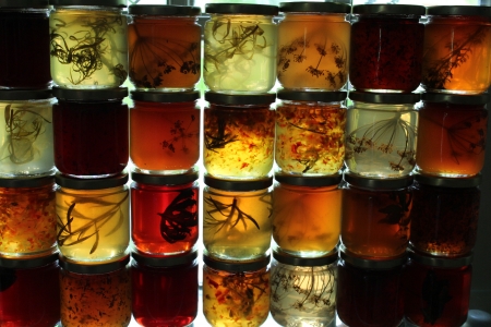 herbs and sunshine - herbs, colour, heathy, glass