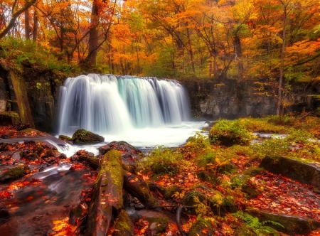 Autumn waterfall - fall, waterfall, beautiful, autumn, serenity, forest, foliage, leaves