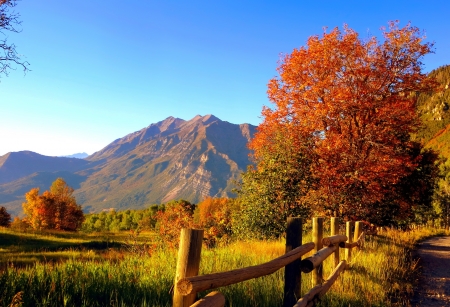 Autumn landscape - season, autumn, fence, mountain, landscape, foliage, fall, tree, colors, grass