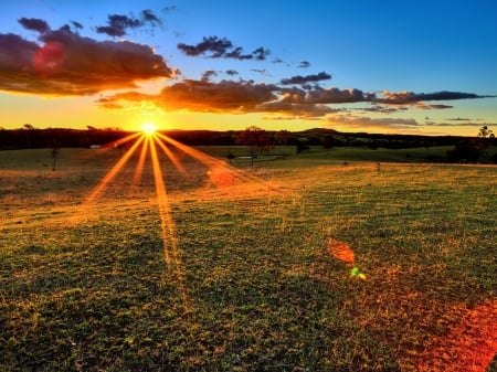 Horizon Sunset - clouds, horizon, trees, sunset, nature, rays, grass, field