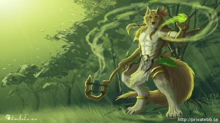 Anthro - shaman, Anthro, furry, magick