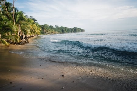 Beach - water, sea, ocean, sand, Beach