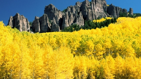 Autumn Mountain - nature, autumn, trees, mountain, yellow, color, birches