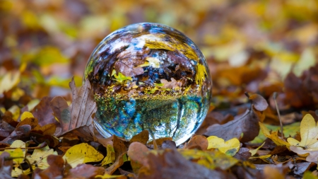 Autumn in a glass ball